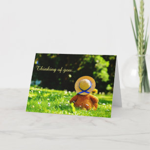 Cartão Belo Urso de Teddy Pensando em você
