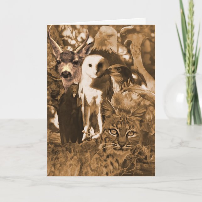 Cartão Belo Vazio de animais selvagens (Frente)