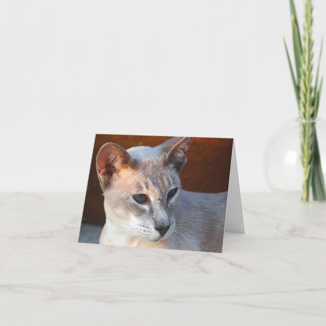 Cartão Belos Olhos Azuis (Frente)