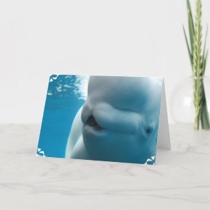 Cartão Beluga Whale Greeting Card