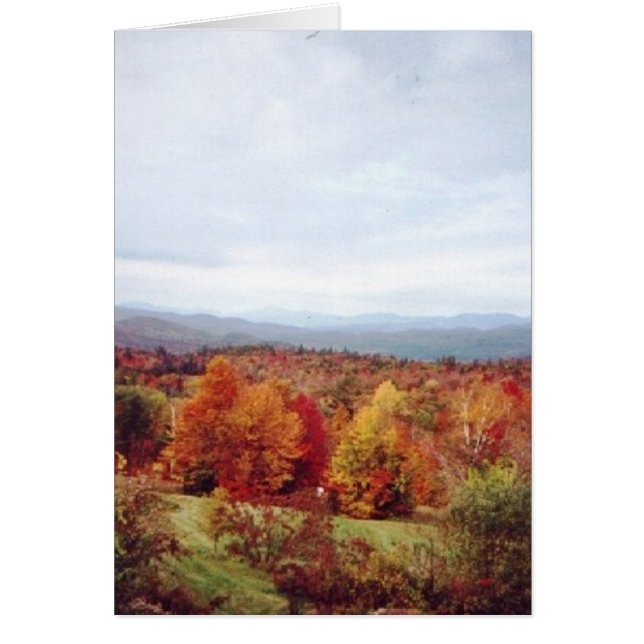 Cartão "Bem atrás da casa" (Frente)