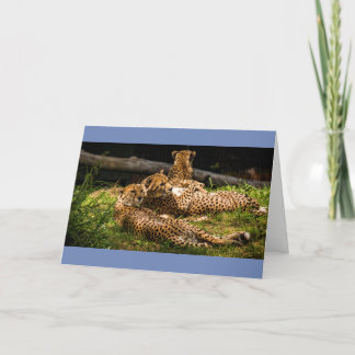 Cartão Bem, não consigo ver!