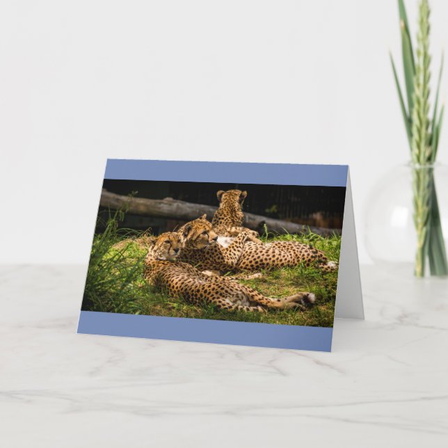 Cartão Bem, não consigo ver! (Frente)