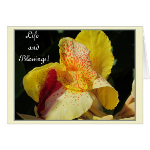 Cartão Bênçãos da vida!