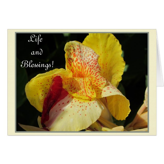 Cartão Bênçãos de Vida! (Frente Horizontal)