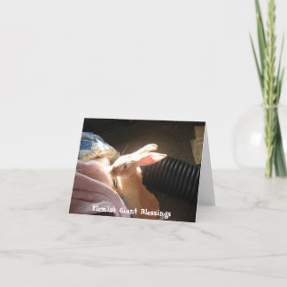 Cartão Bênçãos gigantes flamengas Notecards