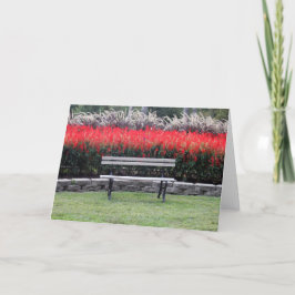 Cartão Bench Red Floral Photo