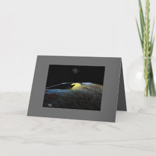 Cartão beneath the stars