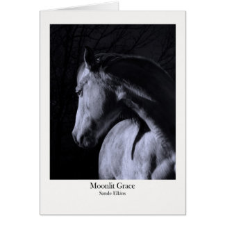 Cartão Benevolência enluarada