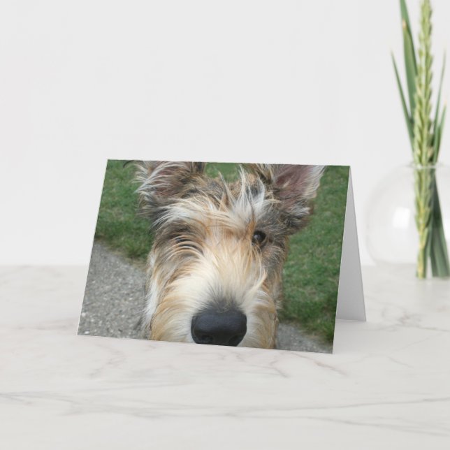 Cartão Berger de Picard (Frente)