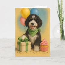 Bernadoodle Birthday