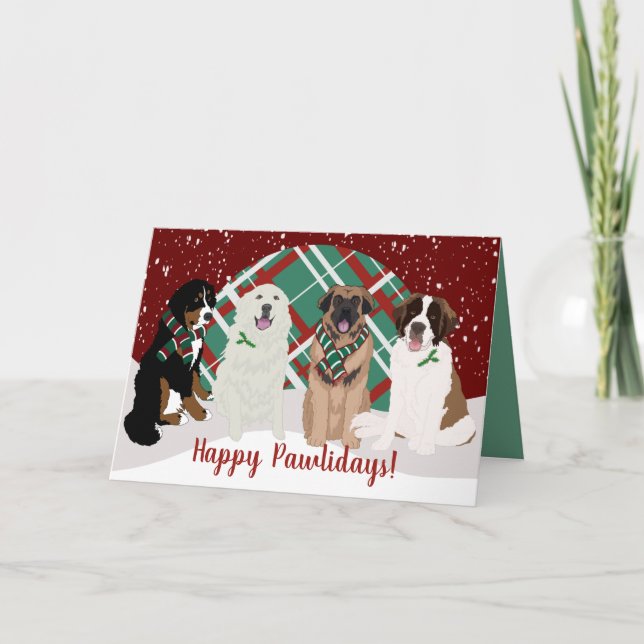 Cartão Bernese Leonberger Excelente Pirenéus Rua Bernard (Frente)