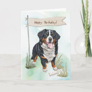 Cartão Bernese Mountain Breed Dog Sob Sinal de Aniversári