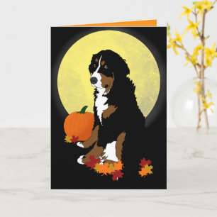 Cartão Bernese Mountain Dog outono