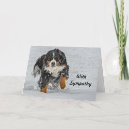 Cartão Bernese Mountain Dog Snow Photo Sympathy