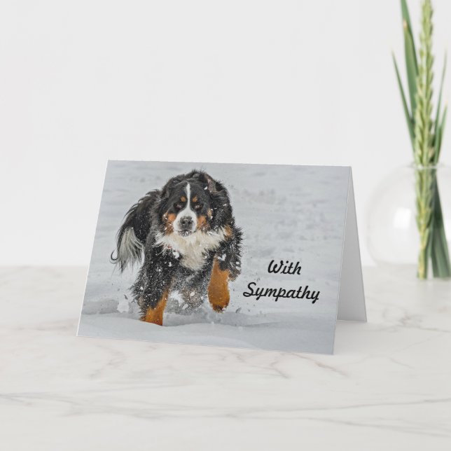 Cartão Bernese Mountain Dog Snow Photo Sympathy (Frente)