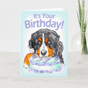 Cartão Bernese Mt Dog Cake Face Birthday