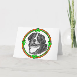 Cartão Bernese Mtn Dog St Patricks
