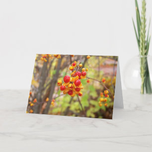 Cartão Berries Bitterdoces