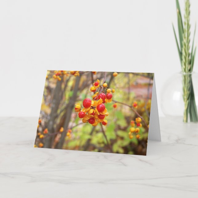 Cartão Berries Bitterdoces (Frente)