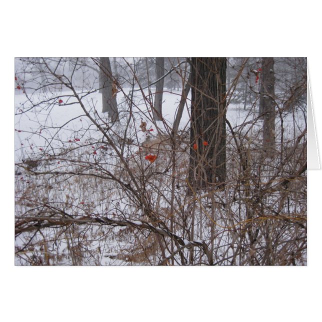 Cartão Berries na neve (Frente Horizontal)
