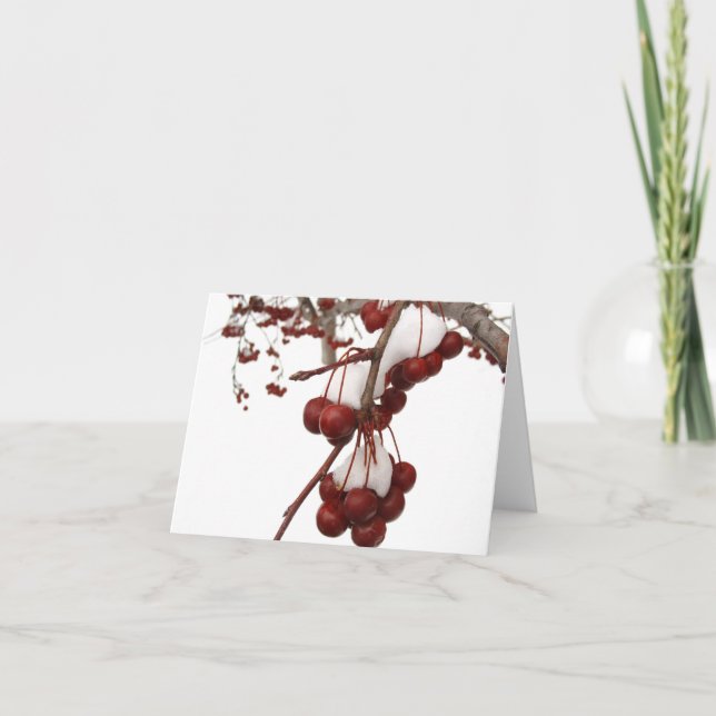 Cartão Berry de Neve (Frente)