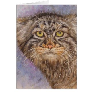 Cartão Berry's Pallas Cat