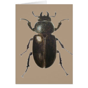 Cartão Besouro de veado 2011