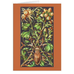 Cartão Besouro Horned em Brown