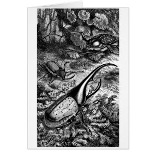 Cartão Besouros