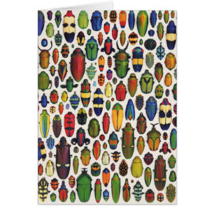 Cartão Besouros Ilustrados Coloridos