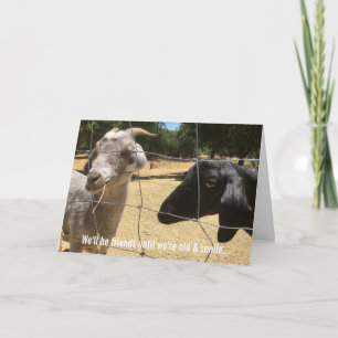 Cartão Besta Amigos Para Sempre