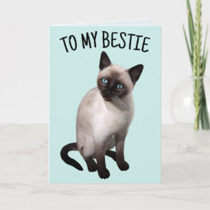 CARTÃO BESTID AMIGO SIAMESE CAT BIRTHDAY