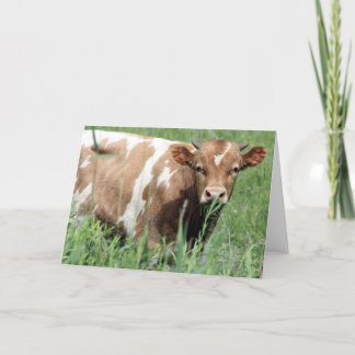 Cartão Betsy, Olá.