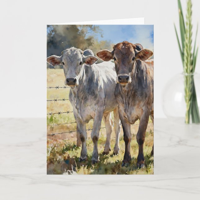 Cartão Bezerras Brahman em Aquarelas (Frente)