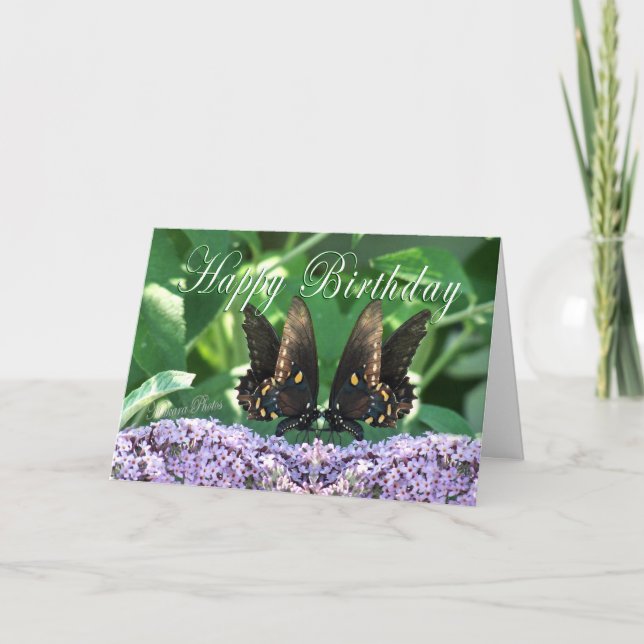 Cartão BflyKissesHBDcard (Frente)