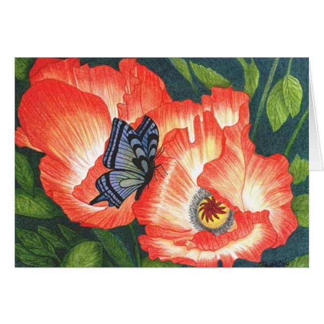 CARTÃO BFLYPOPY (Frente Horizontal)