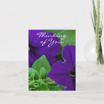 Bíblia de Fotografia de Flor Roxo Pensando Verso e