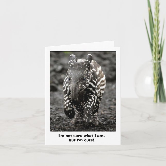 Cartão Bicho do mistério (Frente)