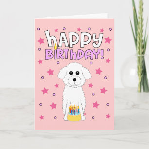 Cartão Bichon Birthday