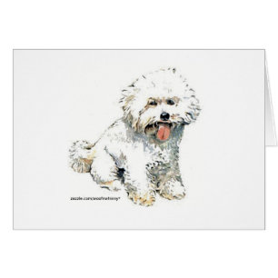 Cartão Bichon Frise