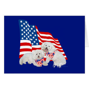 Cartão Bichon Frise American Flag