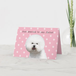 Cartão Bichon Frise Card
