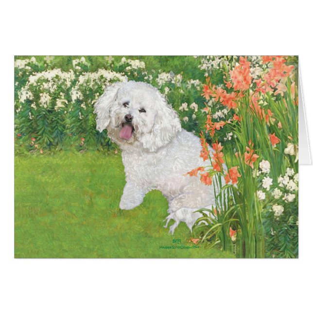 Cartão Bichon Frise Coral Fantasy (Frente Horizontal)