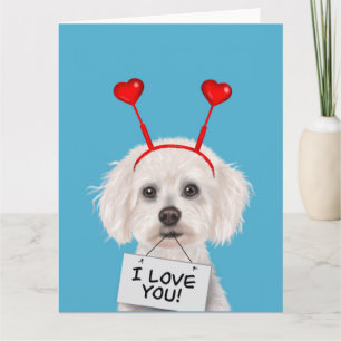 Cartão Bichon Frise "Eu Te Amo" Dia dos Namorados