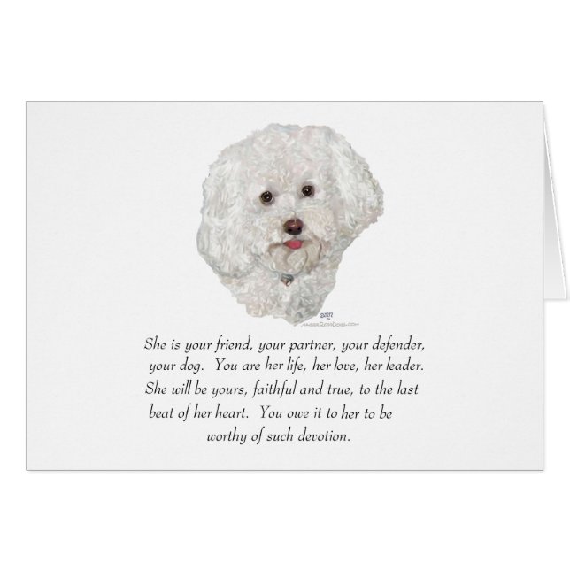 Cartão Bichon Frise Lembrança FEMEA (Frente Horizontal)