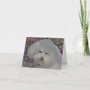 Cartão Bichon Frise Notecard