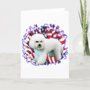 Cartão Bichon Frise Patriot