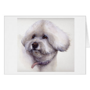 Cartão Bichon Frise pintado na Aquarela