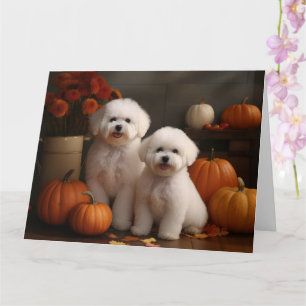 Cartão Bichon Frise Puppy Autumn Delight Pumpkin